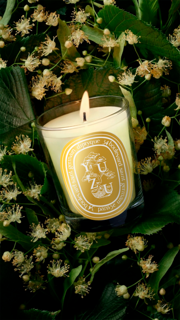 Vue de dessus d'une bougie Diptyque senteur yuzu posée parmi des feuilles, avec une étiquette illustrée d'un bonsaï pour l'édition Japon